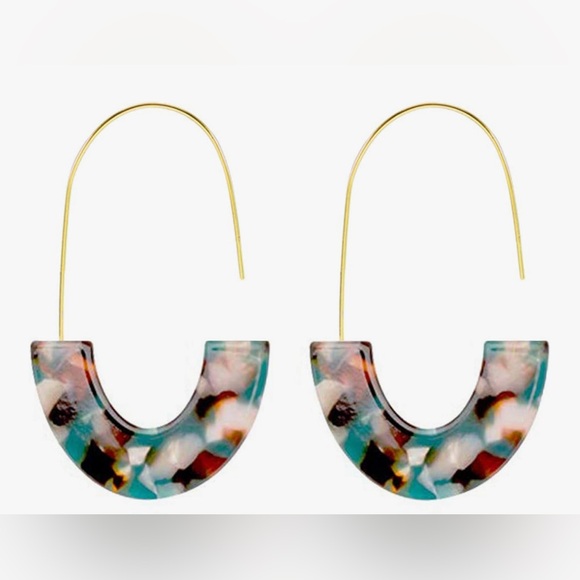 Acrylic Earrings Statement Tortoise Earrings Resin Drop Dangle - Picture 1 of 5